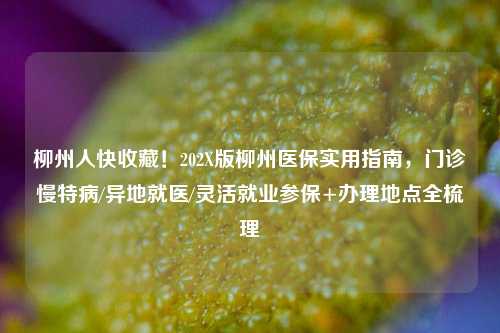 柳州人快收藏!202X版柳州医保实用指南,门诊慢特病/异地就医/灵活就业参保+办理地点全梳理