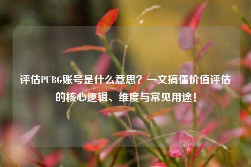 评估PUBG账号是什么意思？一文搞懂价值评估的核心逻辑、维度与常见用途！