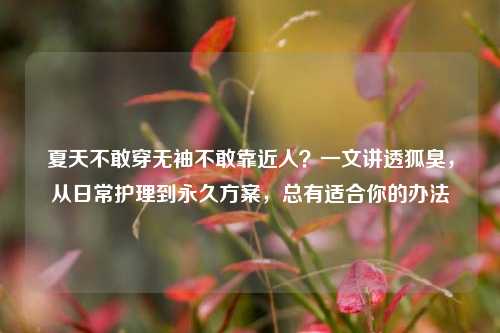 夏天不敢穿无袖不敢靠近人?一文讲透狐臭,从日常护理到永久方案,总有适合你的办法