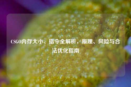 CSGO内存大小、指令全解析，原理、风险与合法优化指南