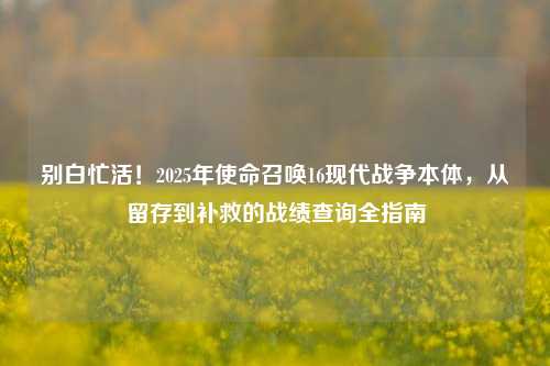 别白忙活!2025年使命召唤16现代战争本体,从留存到补救的战绩查询全指南