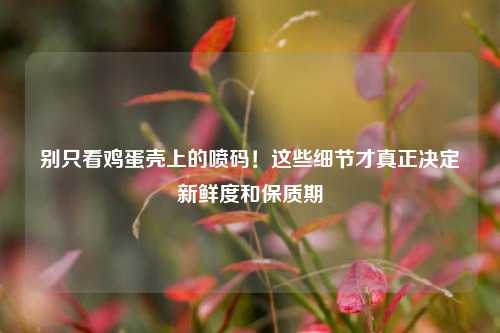 别只看鸡蛋壳上的喷码!这些细节才真正决定新鲜度和保质期