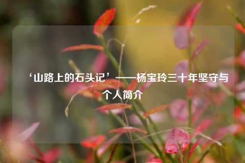 ‘山路上的石头记’——杨宝玲三十年坚守与个人简介