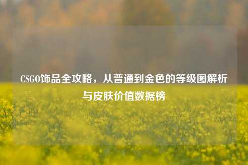 CSGO饰品全攻略,从普通到金色的等级图解析与皮肤价值数据榜