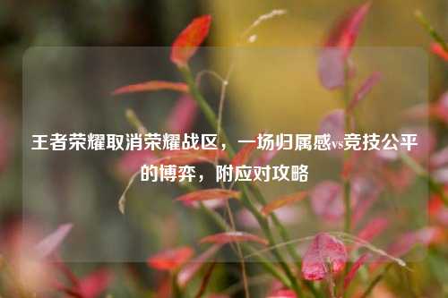 王者荣耀取消荣耀战区,一场归属感vs竞技公平的博弈,附应对攻略