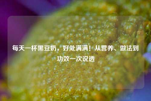 每天一杯黑豆奶,好处满满!从营养、做法到功效一次说透