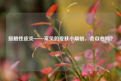 接触性皮炎——常见的皮肤小烦恼，会自愈吗？