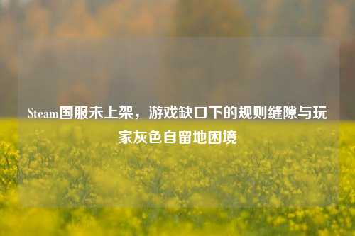 Steam国服未上架,游戏缺口下的规则缝隙与玩家灰色自留地困境