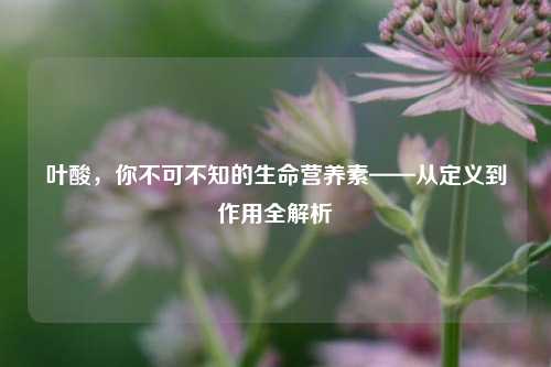 叶酸,你不可不知的生命营养素——从定义到作用全解析