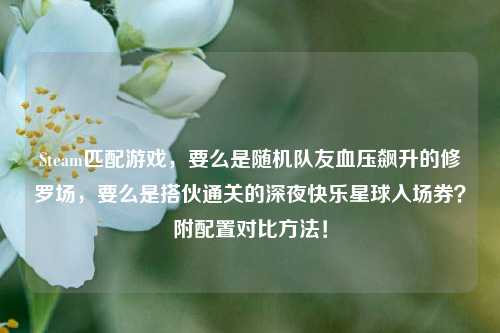 Steam匹配游戏,要么是随机队友血压飙升的修罗场,要么是搭伙通关的深夜快乐星球入场券?附配置对比方法!