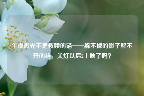 午夜微光不是救赎的锚——躲不掉的影子解不开的结,关灯以后2上映了吗?