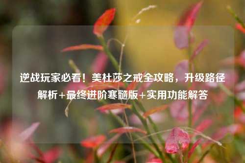 逆战玩家必看！美杜莎之戒全攻略，升级路径解析+最终进阶寒髓版+实用功能解答