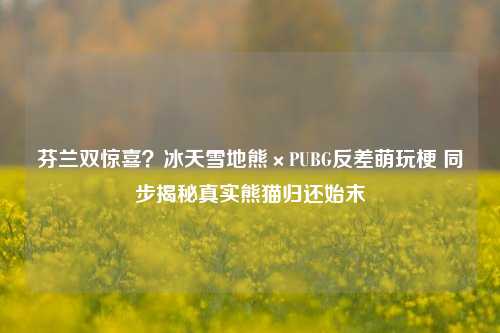 芬兰双惊喜?冰天雪地熊×PUBG反差萌玩梗 同步揭秘真实熊猫归还始末