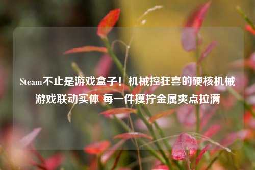 Steam不止是游戏盒子!机械控狂喜的硬核机械游戏联动实体 每一件摸拧金属爽点拉满