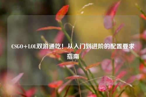 CSGO+LOL双游通吃!从入门到进阶的配置要求指南