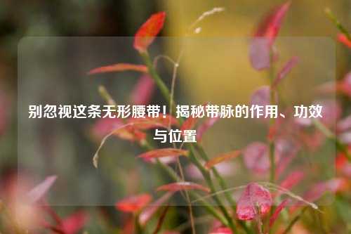 别忽视这条无形腰带！揭秘带脉的作用、功效与位置