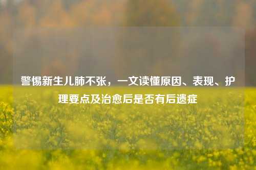警惕新生儿肺不张,一文读懂原因、表现、护理要点及治愈后是否有后遗症