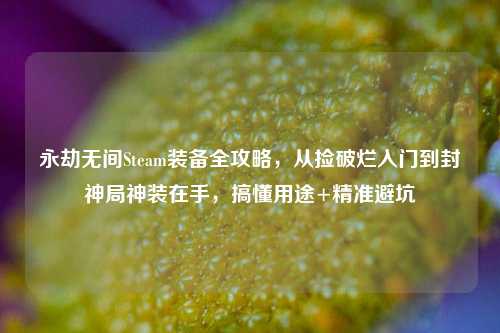 永劫无间Steam装备全攻略,从捡破烂入门到封神局神装在手,搞懂用途+精准避坑
