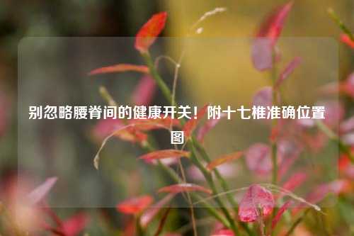 别忽略腰脊间的健康开关!附十七椎准确位置图