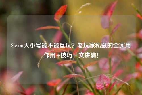 Steam大小号能不能互玩?老玩家私藏的全实用作用+技巧一文讲清!