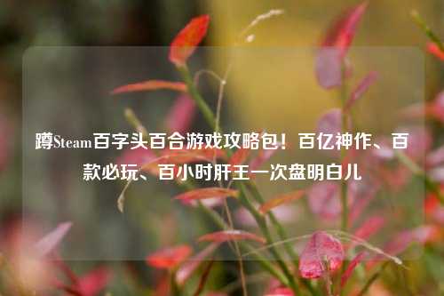 蹲Steam百字头百合游戏攻略包!百亿神作、百款必玩、百小时肝王一次盘明白儿