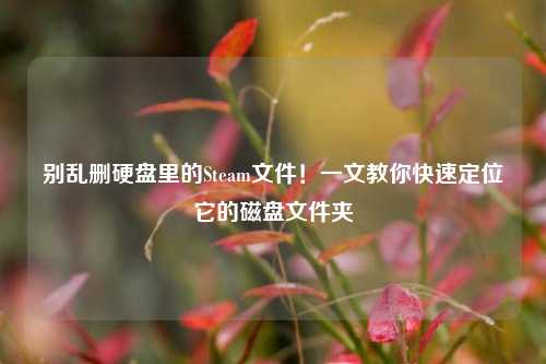 别乱删硬盘里的Steam文件！一文教你快速定位它的磁盘文件夹