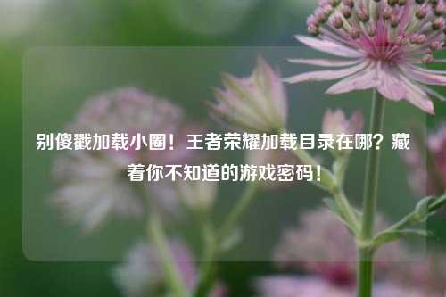 别傻戳加载小圈!王者荣耀加载目录在哪?藏着你不知道的游戏密码!