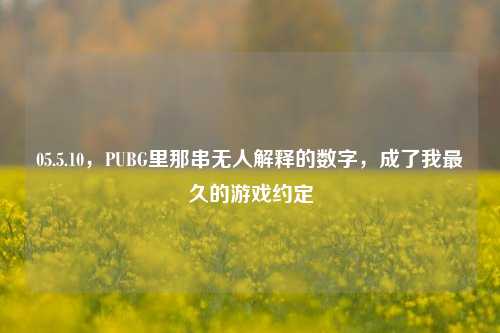05.5.10，PUBG里那串无人解释的数字，成了我最久的游戏约定