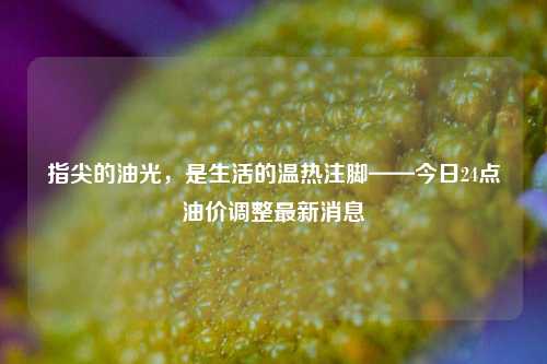 指尖的油光,是生活的温热注脚——今日24点油价调整最新消息