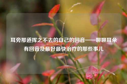 耳旁那道挥之不去的自己的回音——聊聊耳朵有回音及最好最快治疗的那些事儿