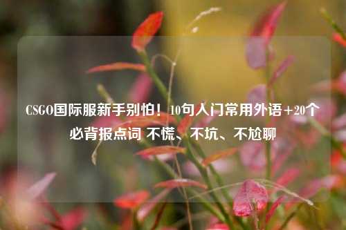 CSGO国际服新手别怕!10句入门常用外语+20个必背报点词 不慌、不坑、不尬聊