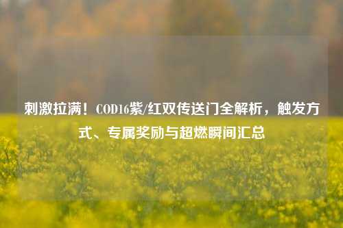刺激拉满!COD16紫/红双传送门全解析,触发方式、专属奖励与超燃瞬间汇总
