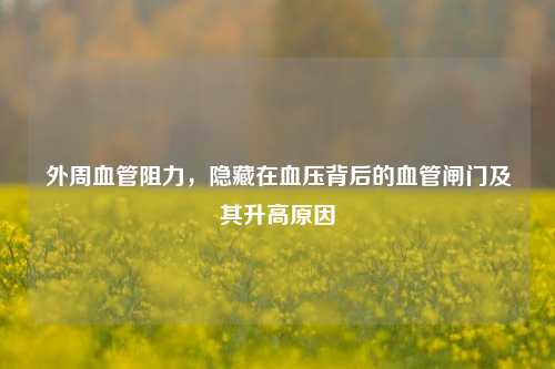 外周血管阻力,隐藏在血压背后的血管闸门及其升高原因