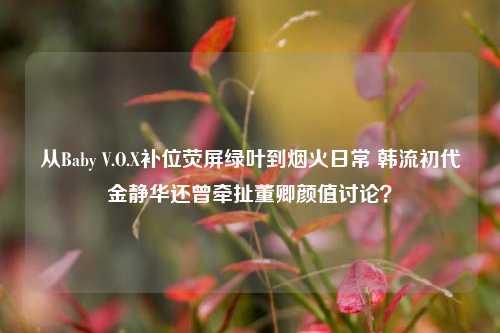 从Baby V.O.X补位荧屏绿叶到烟火日常 韩流初代金静华还曾牵扯董卿颜值讨论?