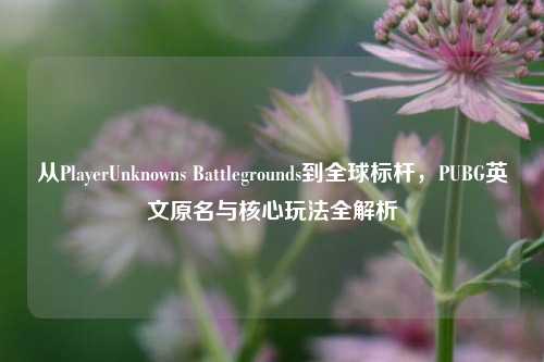 从PlayerUnknowns Battlegrounds到全球标杆,PUBG英文原名与核心玩法全解析