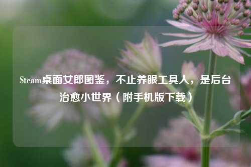 Steam桌面女郎图鉴,不止养眼工具人,是后台治愈小世界(附手机版下载)