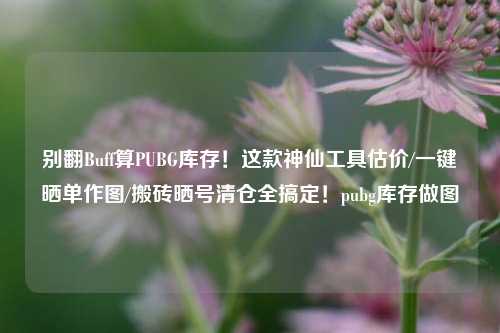 别翻Buff算PUBG库存!这款神仙工具估价/一键晒单作图/搬砖晒号清仓全搞定!pubg库存做图