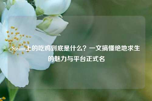 Steam上的吃鸡到底是什么？一文搞懂绝地求生的魅力与平台正式名