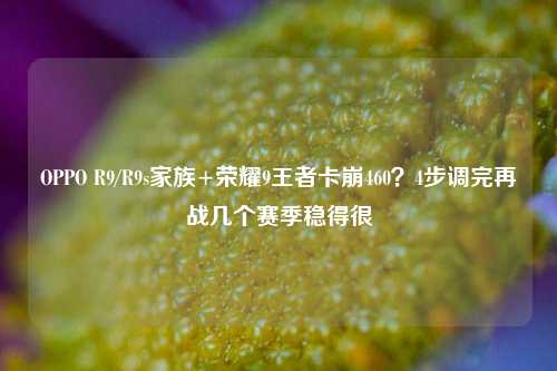 OPPO R9/R9s家族+荣耀9王者卡崩460?4步调完再战几个赛季稳得很