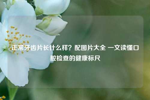 正常牙齿片长什么样?配图片大全 一文读懂口腔检查的健康标尺