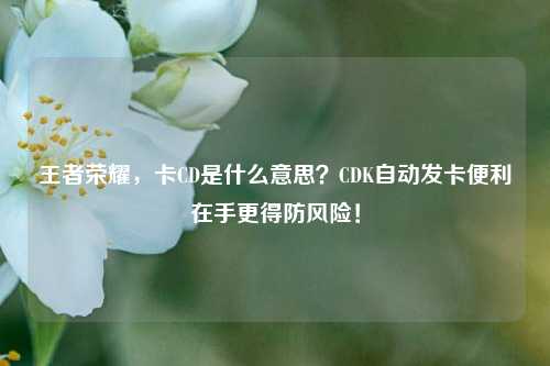 王者荣耀，卡CD是什么意思？CDK自动发卡便利在手更得防风险！