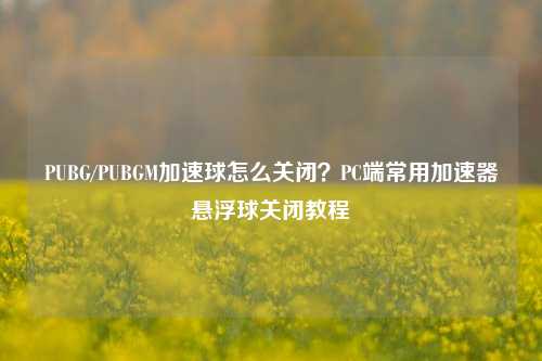 PUBG/PUBGM加速球怎么关闭?PC端常用加速器悬浮球关闭教程