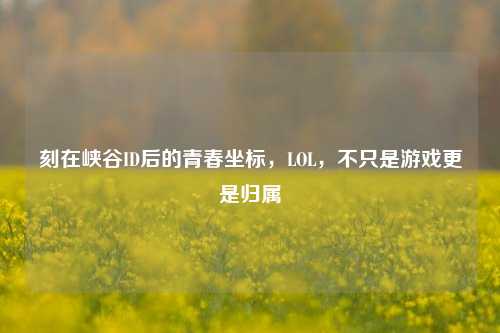 刻在峡谷ID后的青春坐标，LOL，不只是游戏更是归属