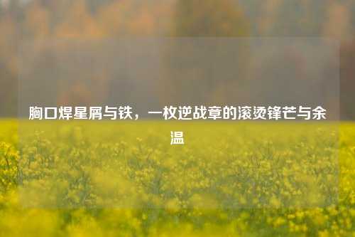 胸口焊星屑与铁,一枚逆战章的滚烫锋芒与余温