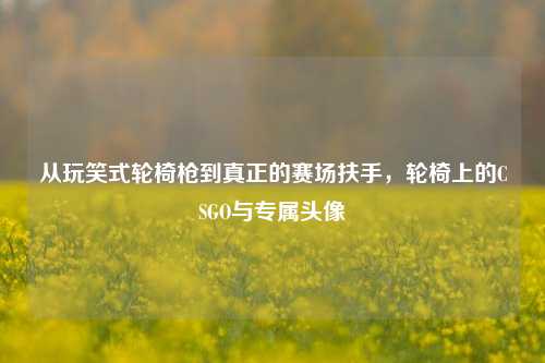 从玩笑式轮椅枪到真正的赛场扶手，轮椅上的CSGO与专属头像
