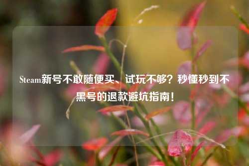 Steam新号不敢随便买、试玩不够？秒懂秒到不黑号的退款避坑指南！