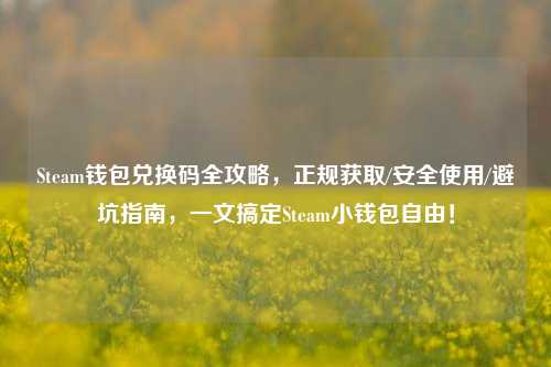 Steam钱包兑换码全攻略,正规获取/安全使用/避坑指南,一文搞定Steam小钱包自由!
