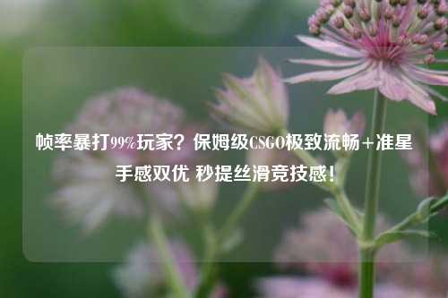 帧率暴打99%玩家？保姆级CSGO极致流畅+准星手感双优 秒提丝滑竞技感！