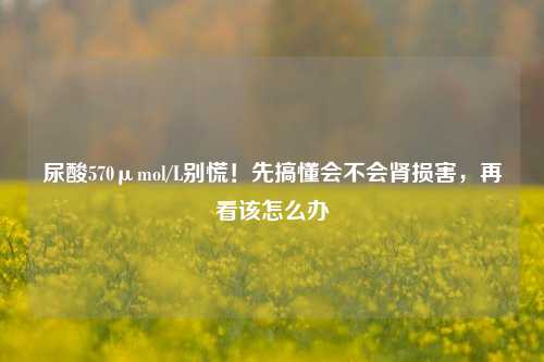 尿酸570μmol/L别慌!先搞懂会不会肾损害,再看该怎么办