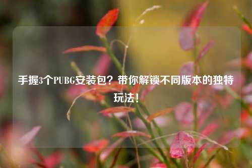 手握3个PUBG安装包？带你解锁不同版本的独特玩法！